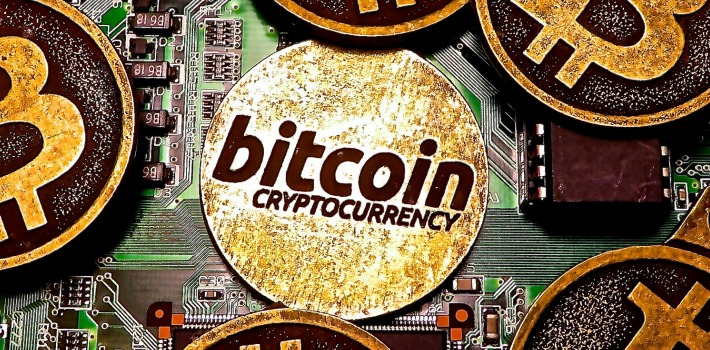 bitcoin wallet developers app
