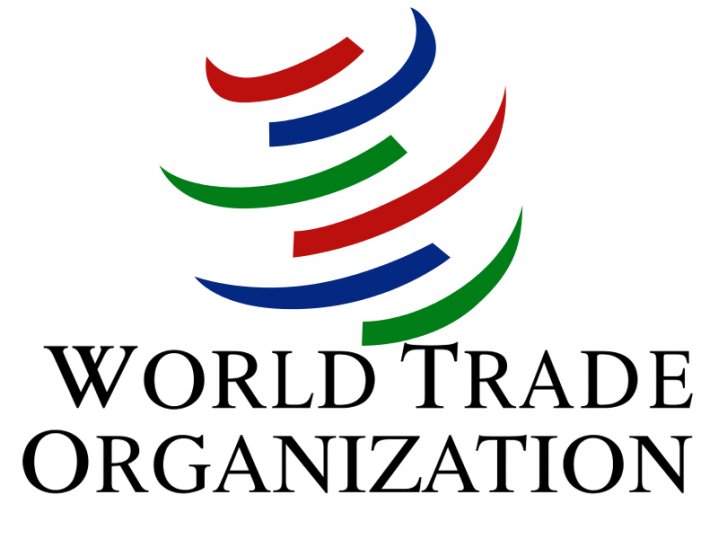 Mehmedović Na Konferenciji O Funkcionisanju WTO-a